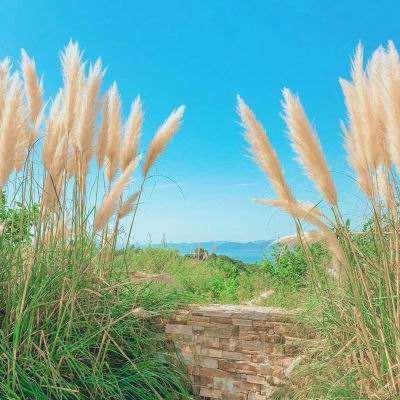 星空线上官网app下载