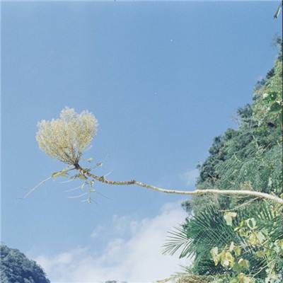 im电竞官方网站下载手机版