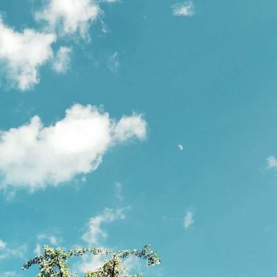 万博(ManBetx)手机app下载